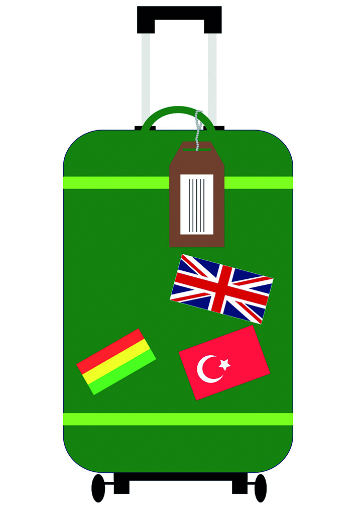 VALISE clipart (karine arnold)